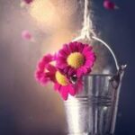 دانلود آهنگ دیگه توی دنیا به چی اعتباره با صدای زن افغانی تیک تاک ریمیکس اینستاگرام ترند دانلود آهنگ دیگه توی دنیا به چی اعتباره با صدای زن افغانی تیک تاک ریمیکس اینستاگرام ترند